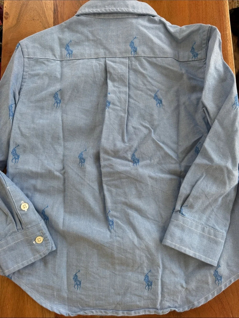 NWOT Ralph Lauren Button-Down Oxford with Pony Embroidery